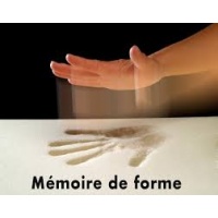 mousse__mmoire_de_forme
