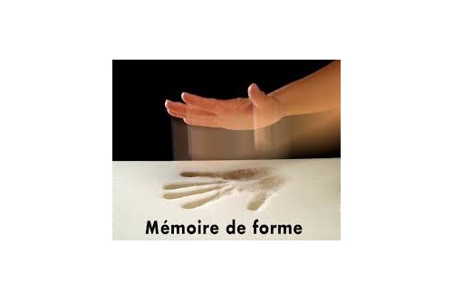 mousse__mmoire_de_forme